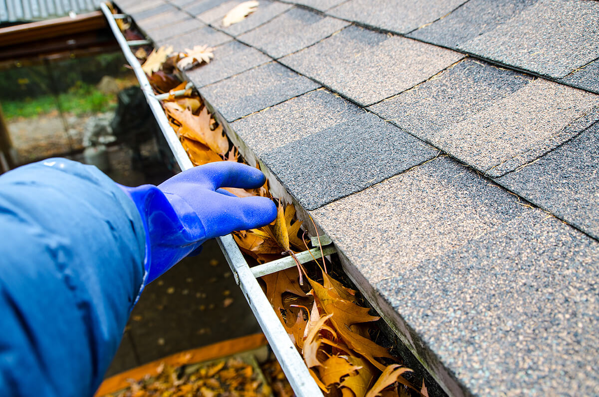 Gutter cleaning and maintenance services